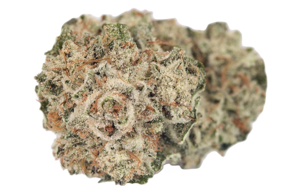 ufc-og-new - DGC UFC OG is a potent and highly revered cannabis strain, known for its strong effects and high THC content. A hybrid strain, UFC OG combines the best traits of both indica and sativa, delivering a well-rounded experience that packs a punch. It’s especially favored by experienced users seeking powerful effects.