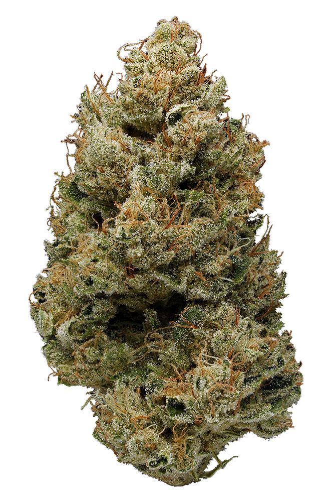 Banana-Kushjpg - DGC Weed Delivery Los Angeles – Fast 24/7 Cannabis Delivery | Top-Shelf Flower, Vapes & Edibles