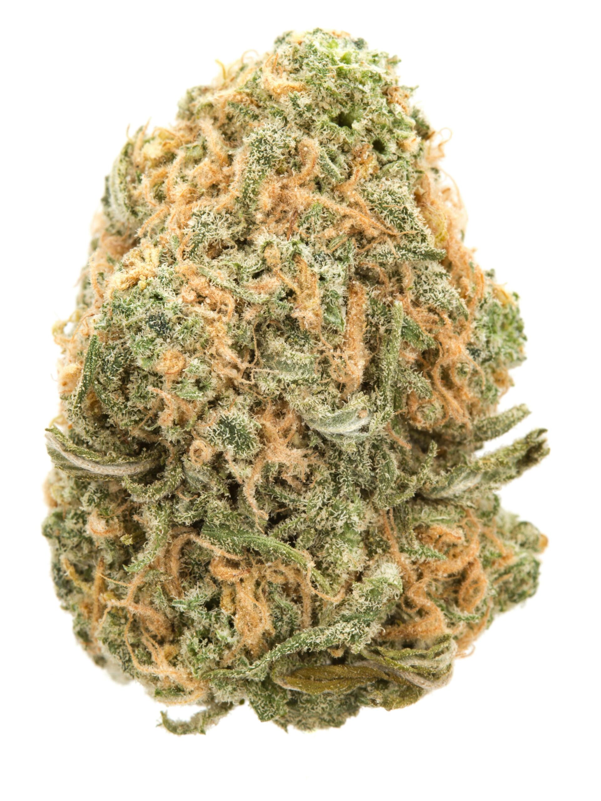 Blue_Dream-scaled-1jpeg - DGC Weed Delivery Los Angeles – Fast 24/7 Cannabis Delivery | Top-Shelf Flower, Vapes & Edibles
