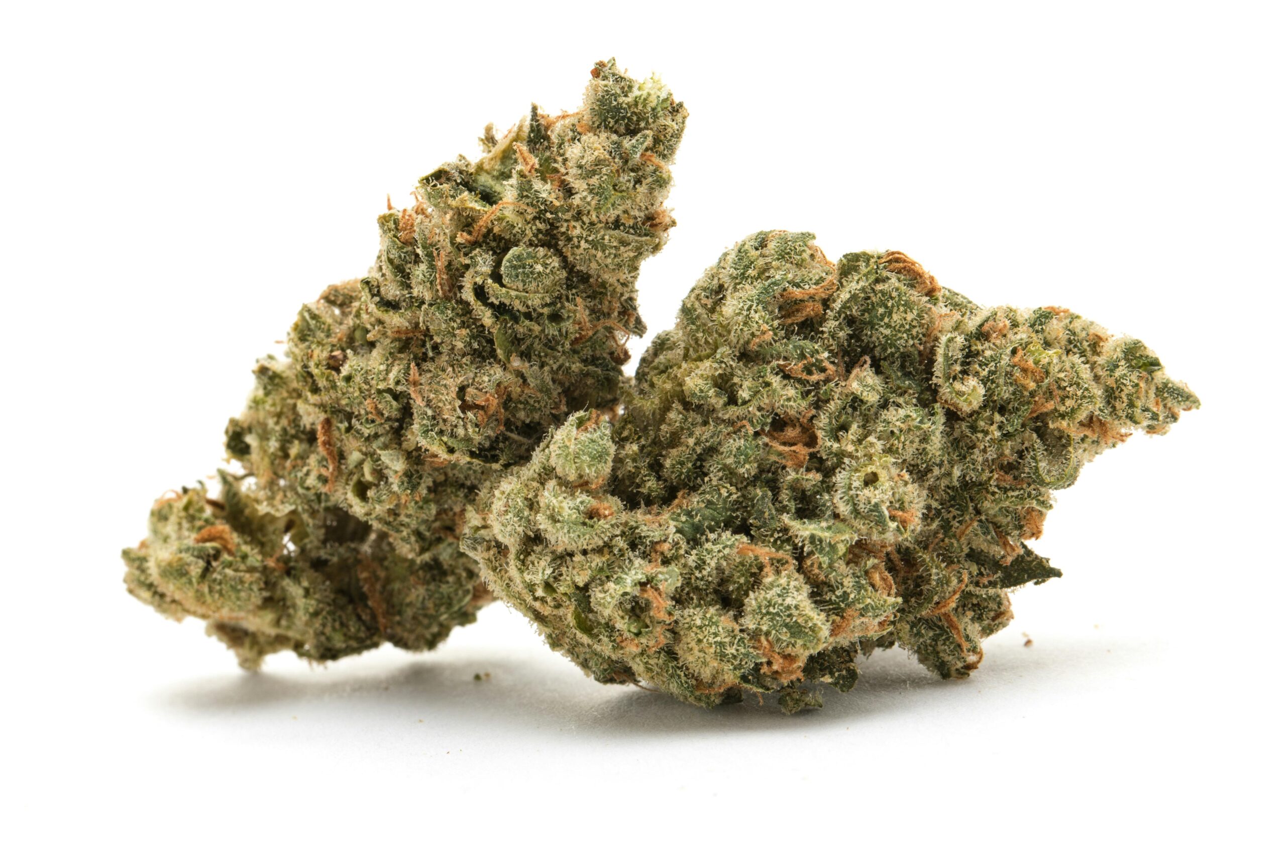 Jupiter-Og-scaled-1jpeg - DGC Weed Delivery Los Angeles – Fast 24/7 Cannabis Delivery | Top-Shelf Flower, Vapes & Edibles