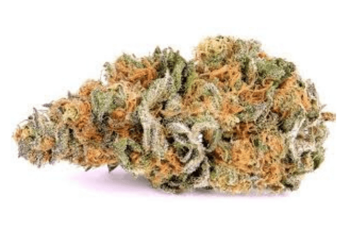 Thunder-Fuckpng - DGC