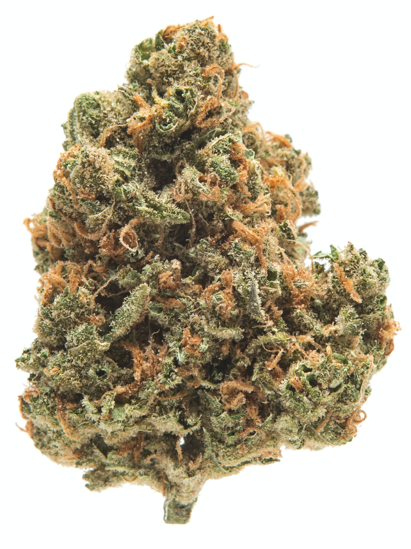 brain-freeze-2jpg - DGC Weed Delivery Los Angeles – Fast 24/7 Cannabis Delivery | Top-Shelf Flower, Vapes & Edibles