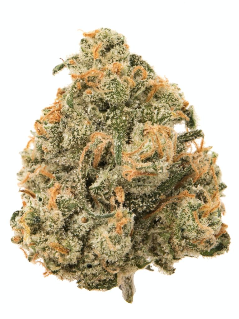 jack-herrer-scaled-1jpeg - DGC Weed Delivery Los Angeles – Fast 24/7 Cannabis Delivery | Top-Shelf Flower, Vapes & Edibles