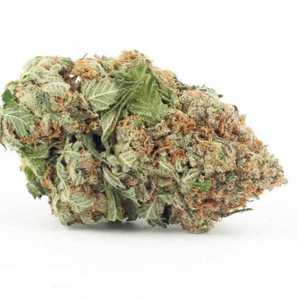 venom-og-newjpg - DGC Weed Delivery Los Angeles – Fast 24/7 Cannabis Delivery | Top-Shelf Flower, Vapes & Edibles